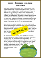 Svampar, lavar och mikroorganismer - Årskurs 4 - 6