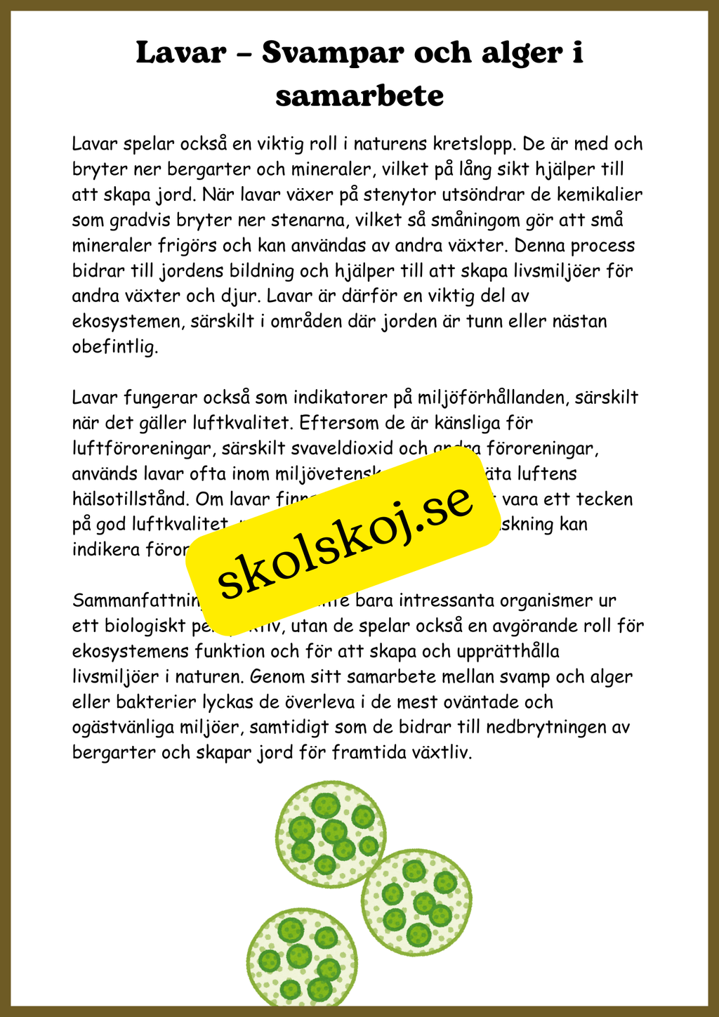 Svampar, lavar och mikroorganismer - Årskurs 4 - 6