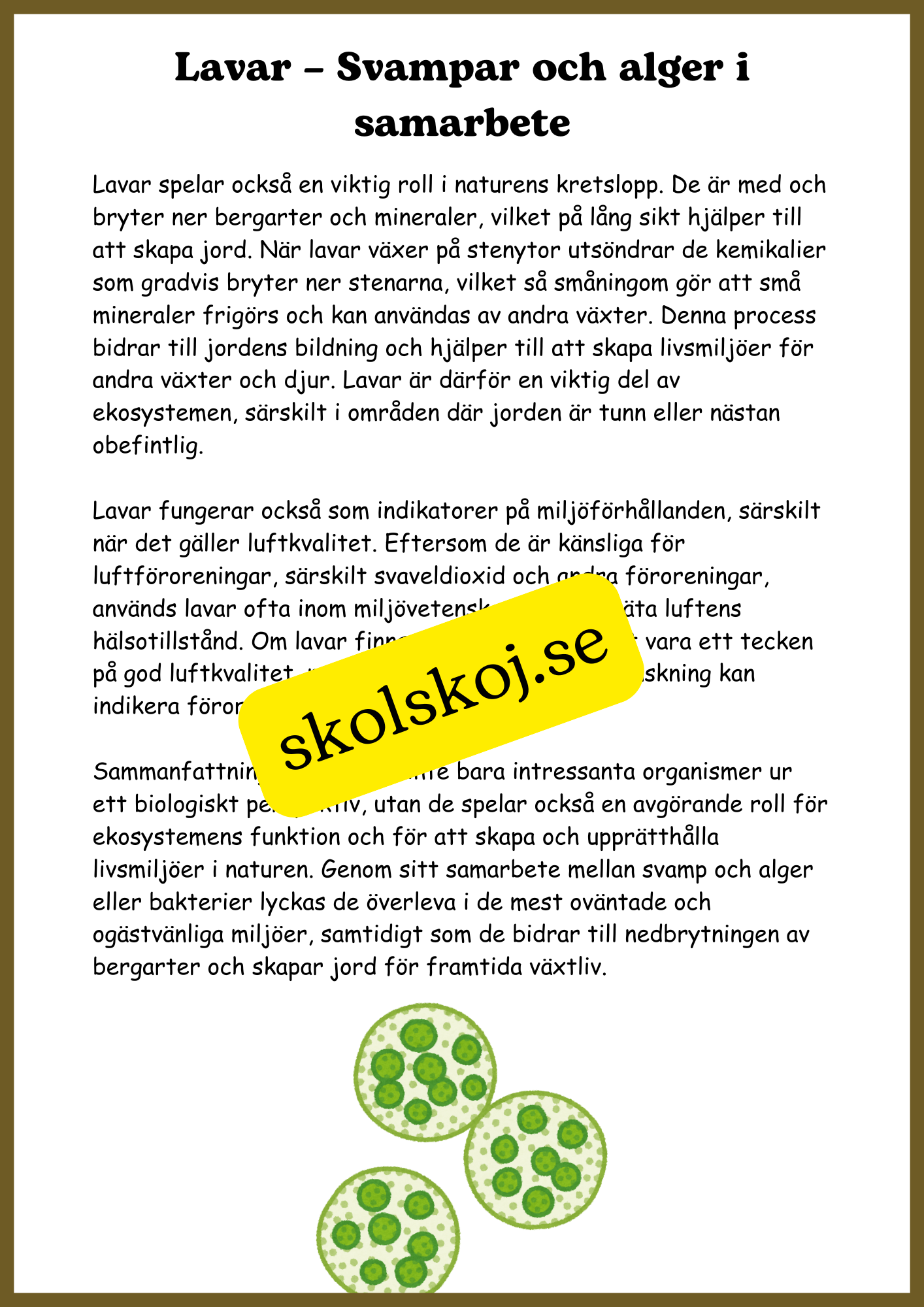 Svampar, lavar och mikroorganismer - Årskurs 4 - 6