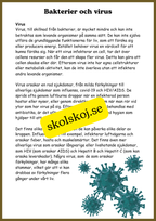 Svampar, lavar och mikroorganismer - Årskurs 4 - 6
