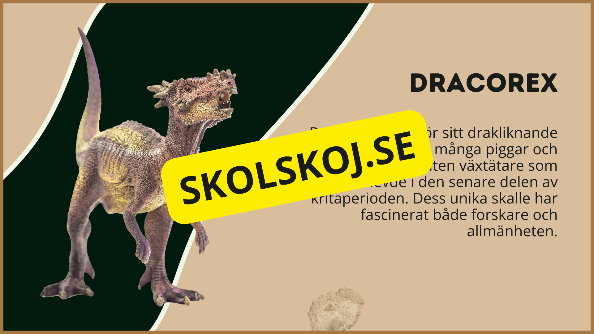 Utforska dinosauriernas värld