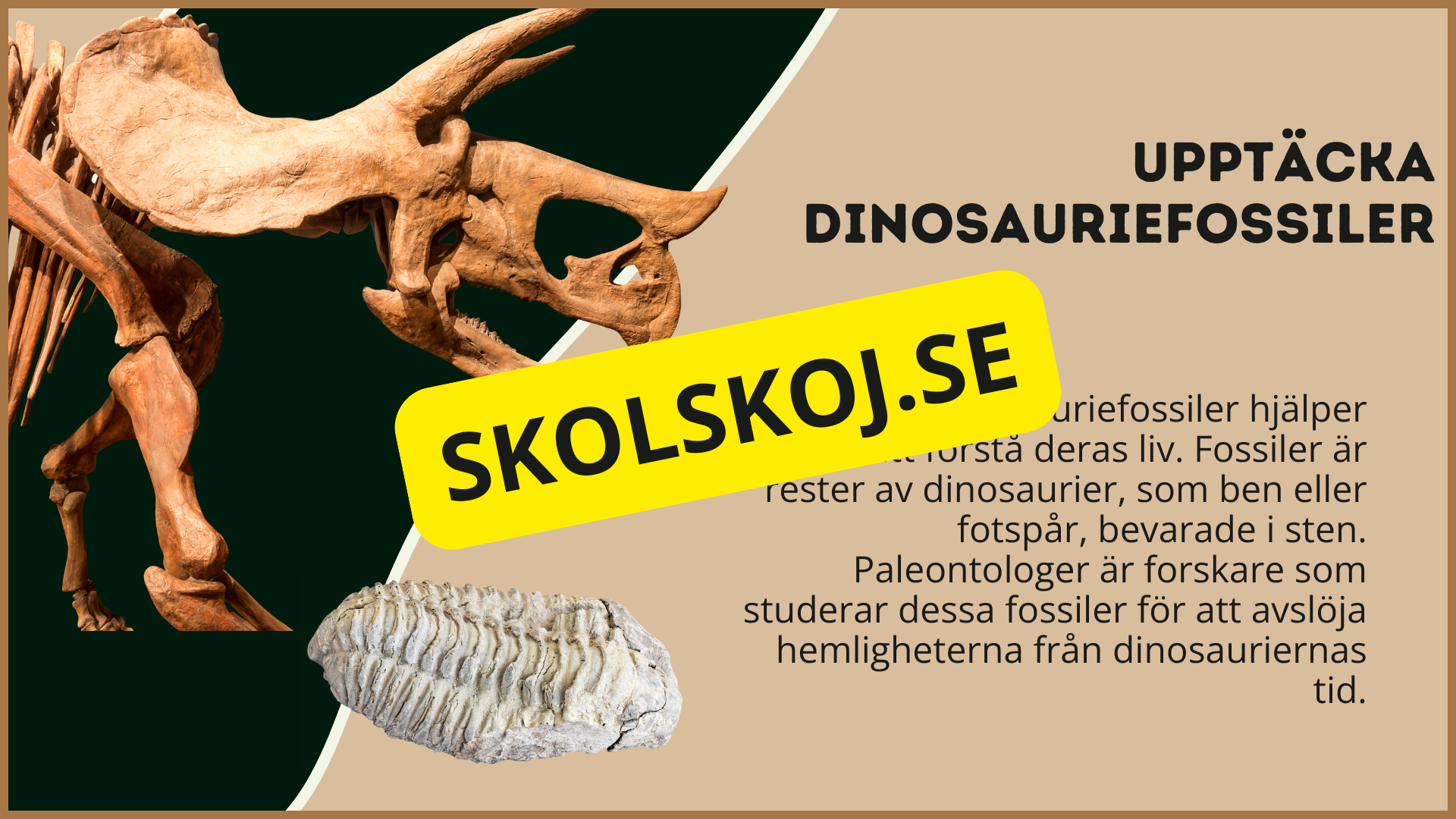 Utforska dinosauriernas värld