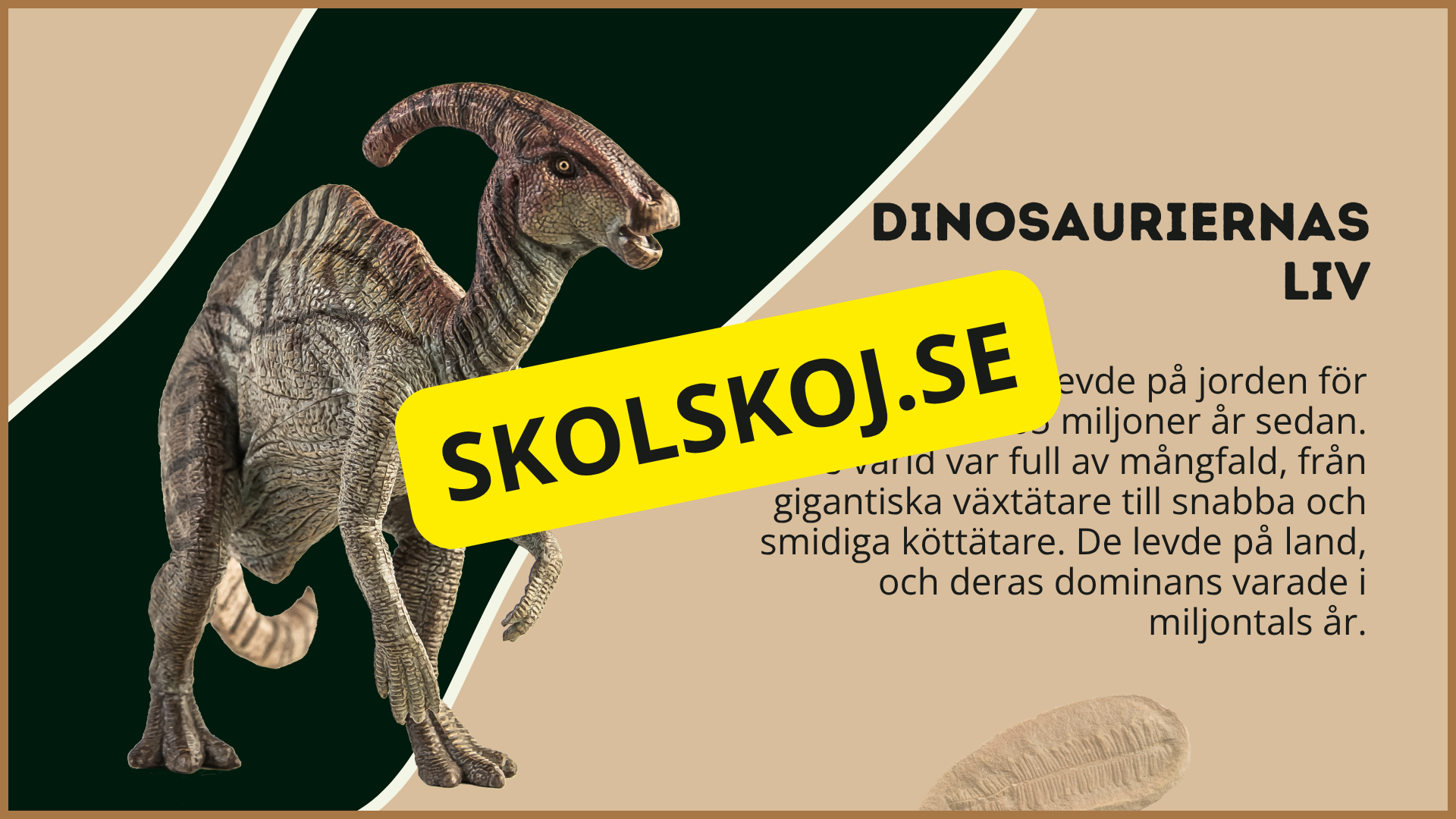 Utforska dinosauriernas värld