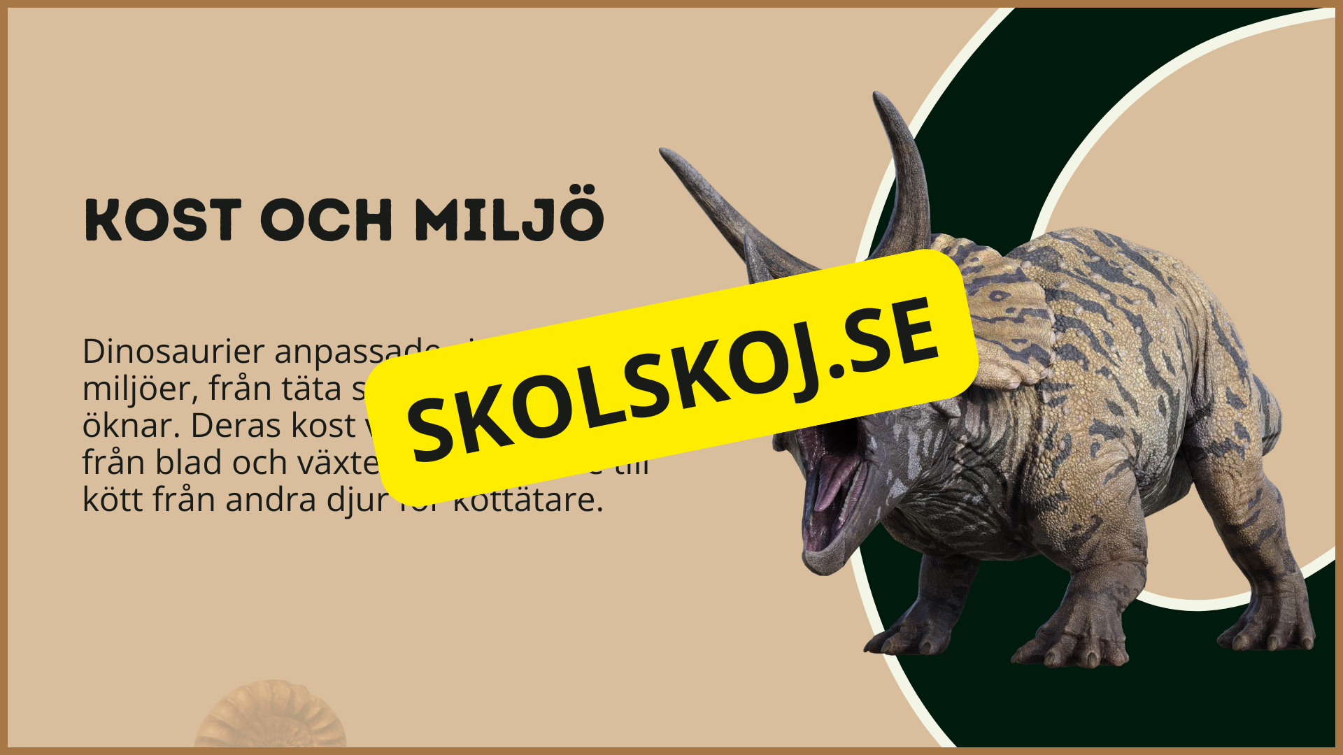 Utforska dinosauriernas värld