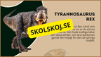 Utforska dinosauriernas värld
