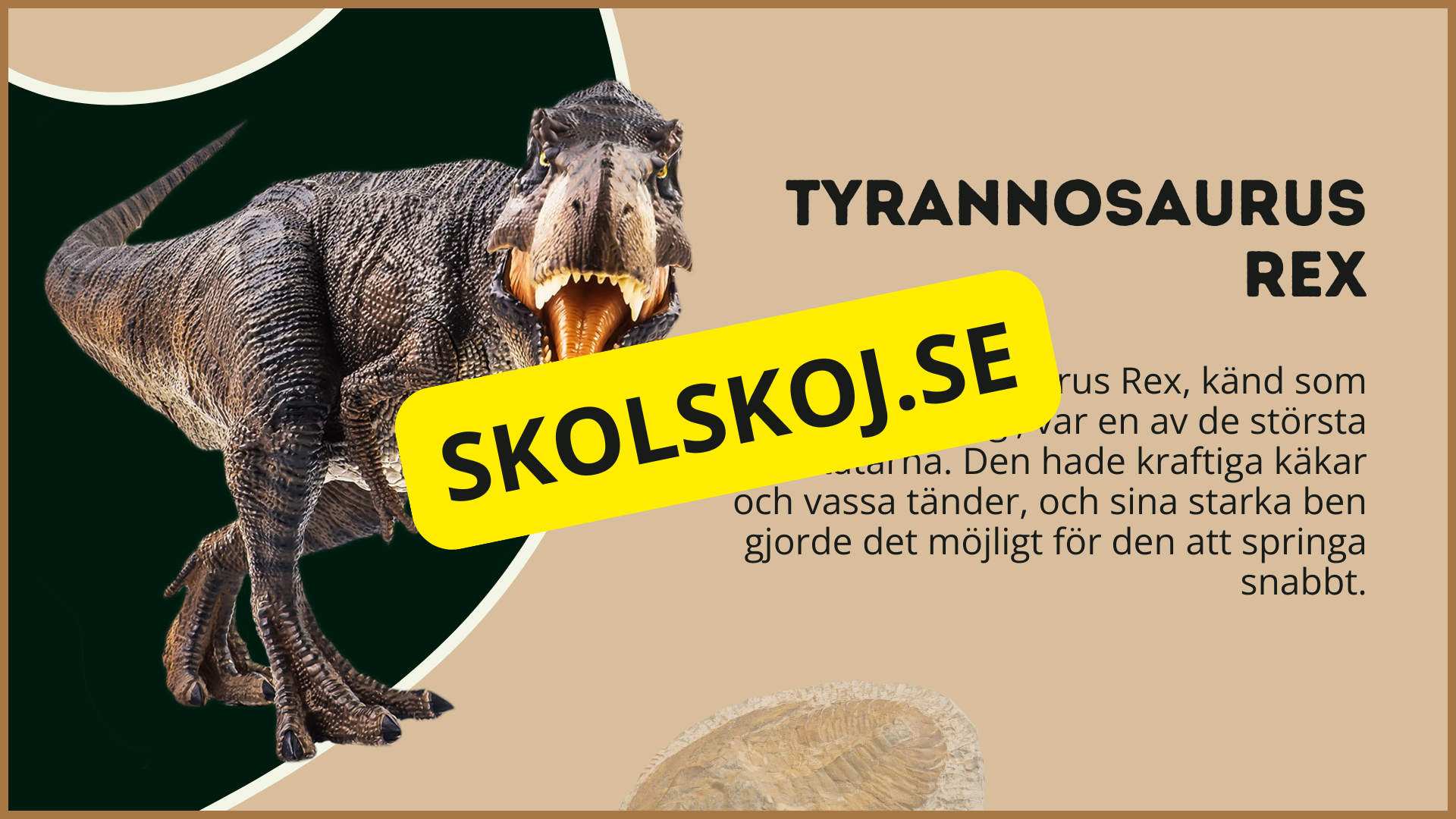Utforska dinosauriernas värld