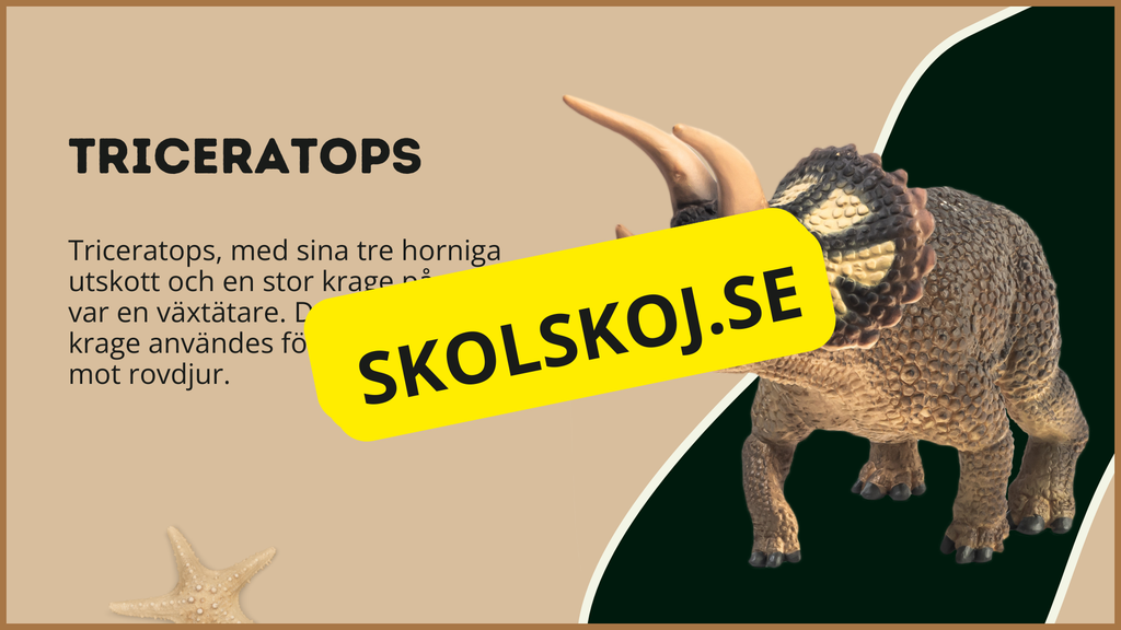 Utforska dinosauriernas värld