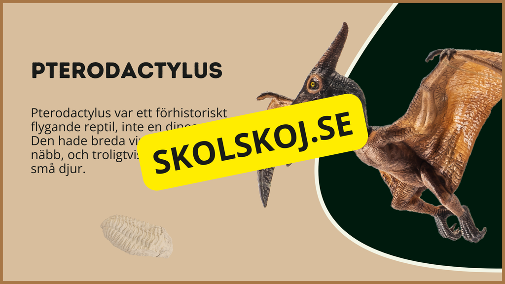 Utforska dinosauriernas värld