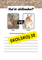 Vad är skillnaden - Djur