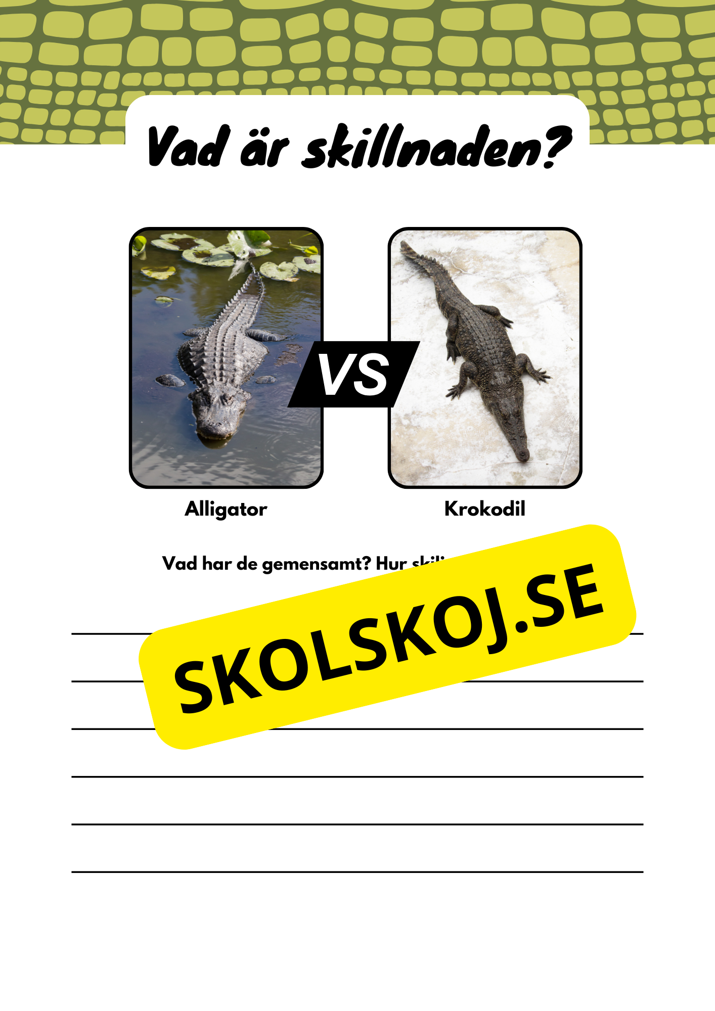 Vad är skillnaden - Djur