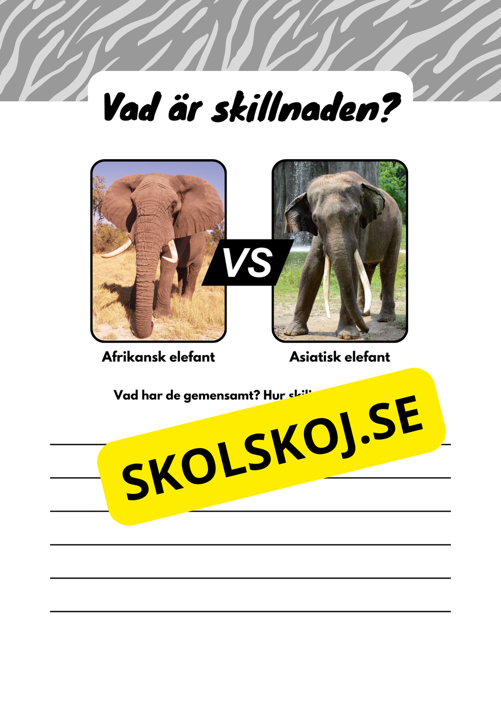Vad är skillnaden - Djur
