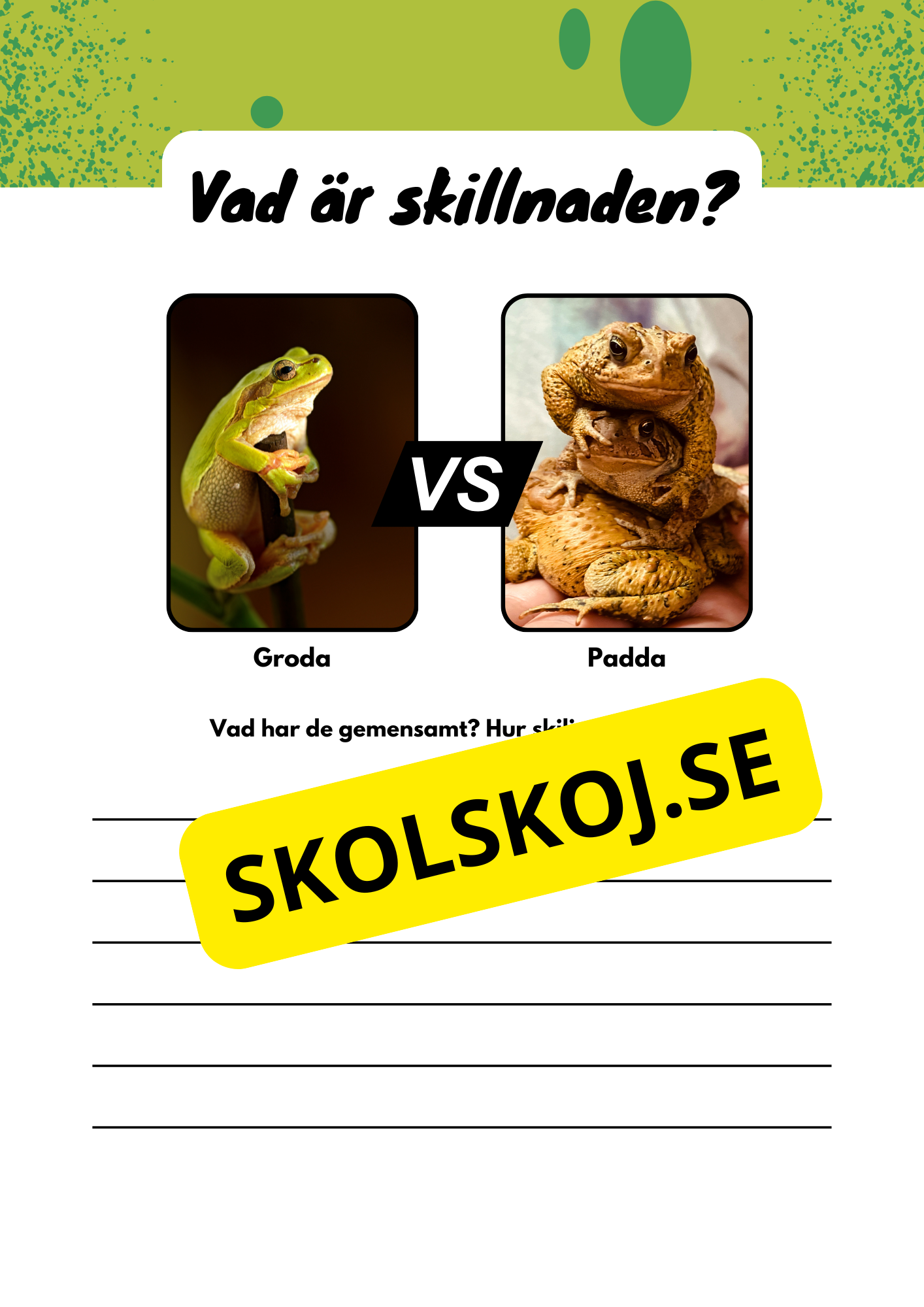 Vad är skillnaden - Djur