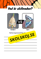 Vad är skillnaden - Djur
