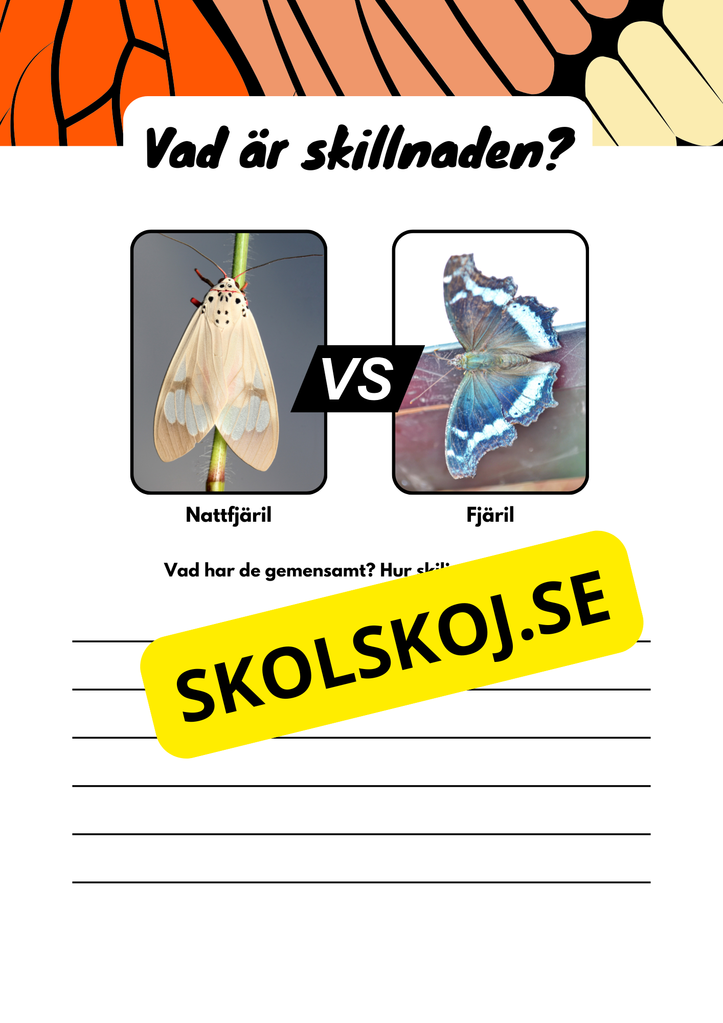 Vad är skillnaden - Djur