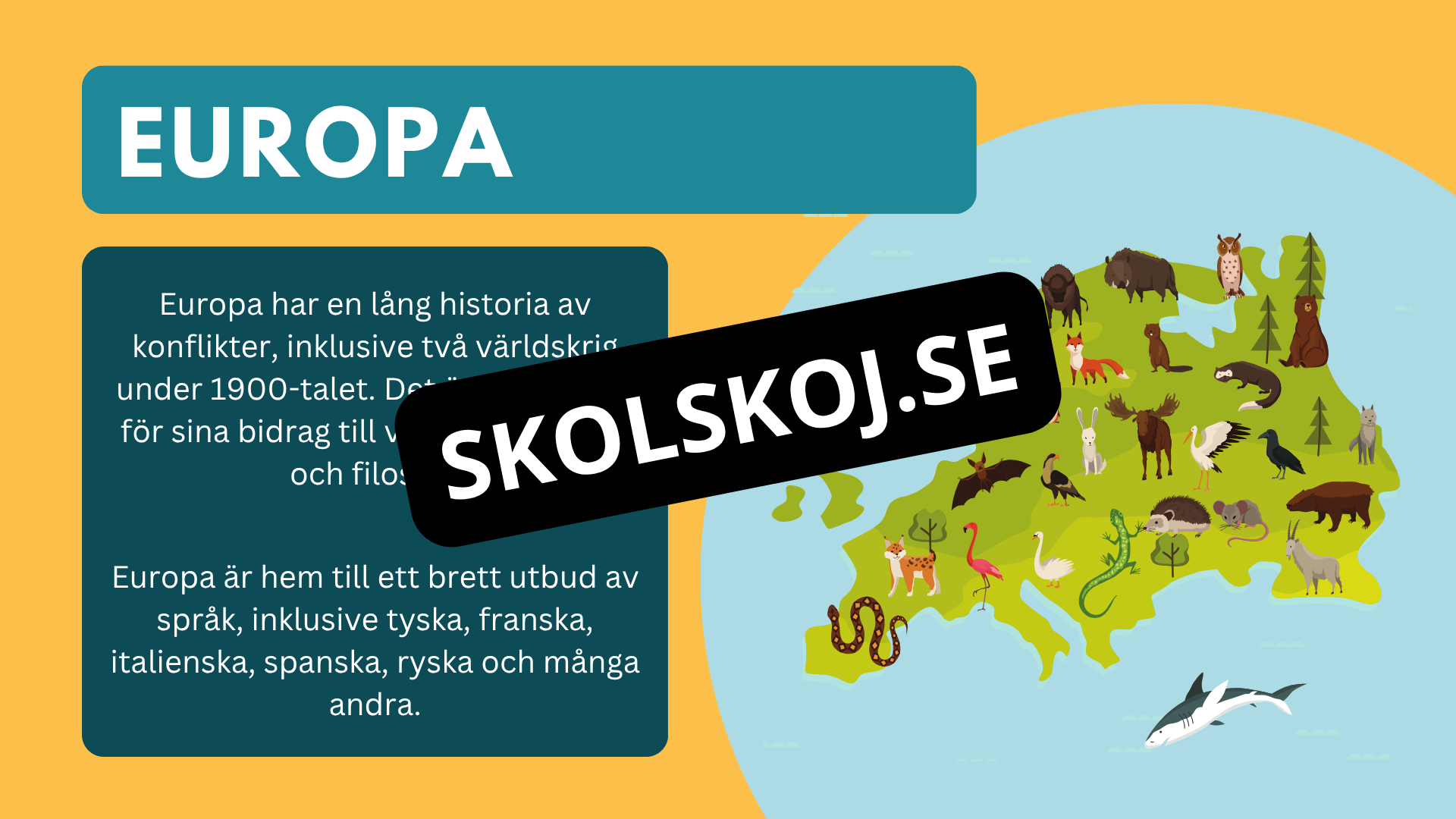 Våra kontinenter