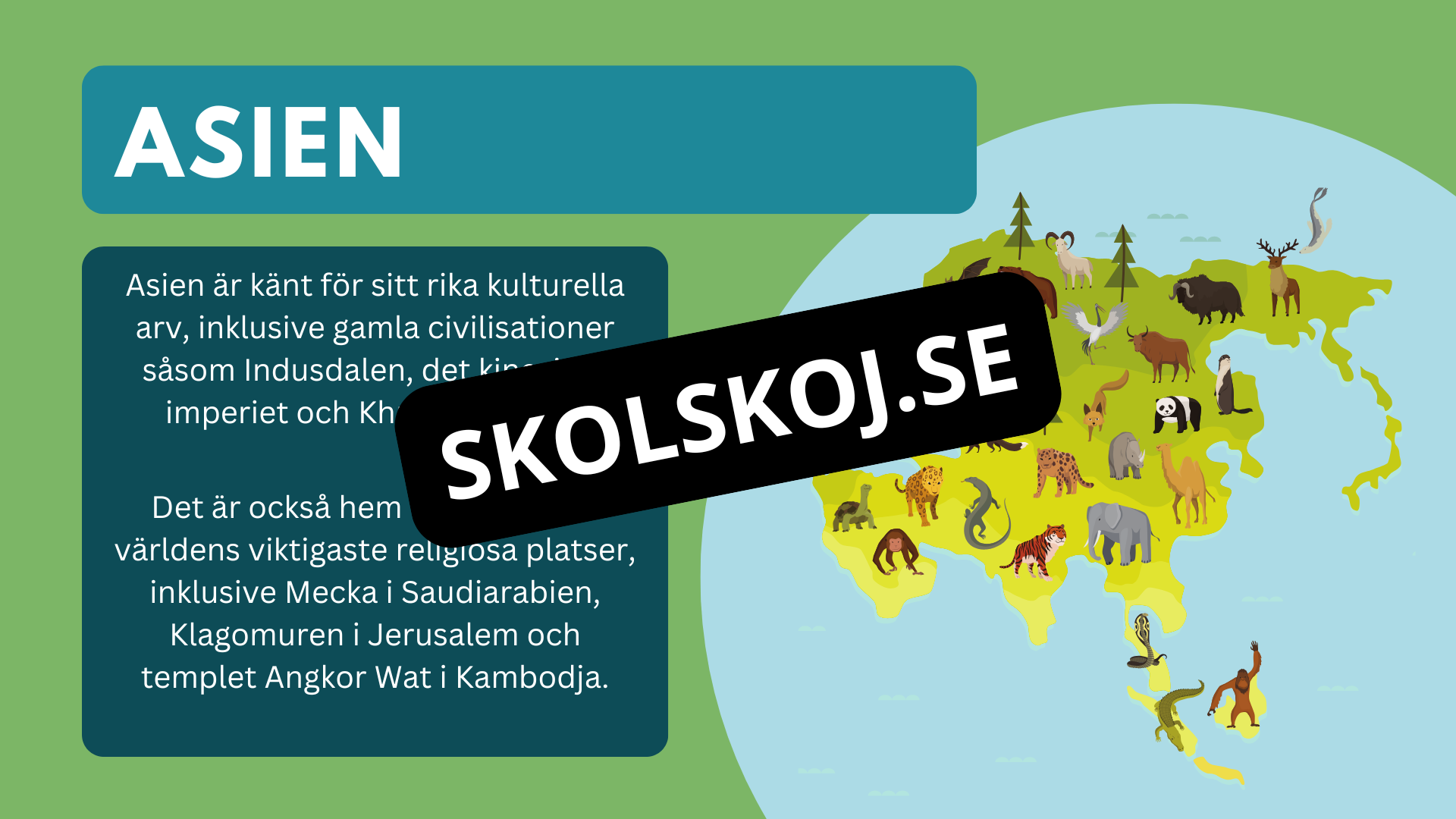 Våra kontinenter