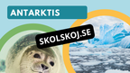 Våra kontinenter