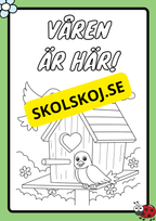 Våren - Aktivitetsbok