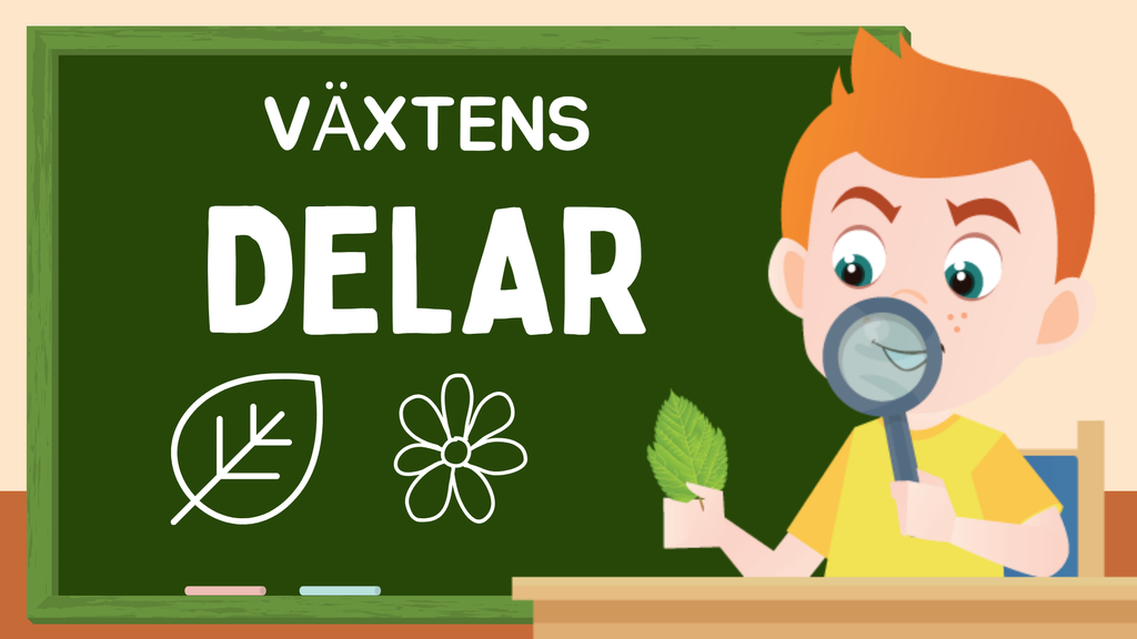 Växtens delar - Läsförståelse + frågor