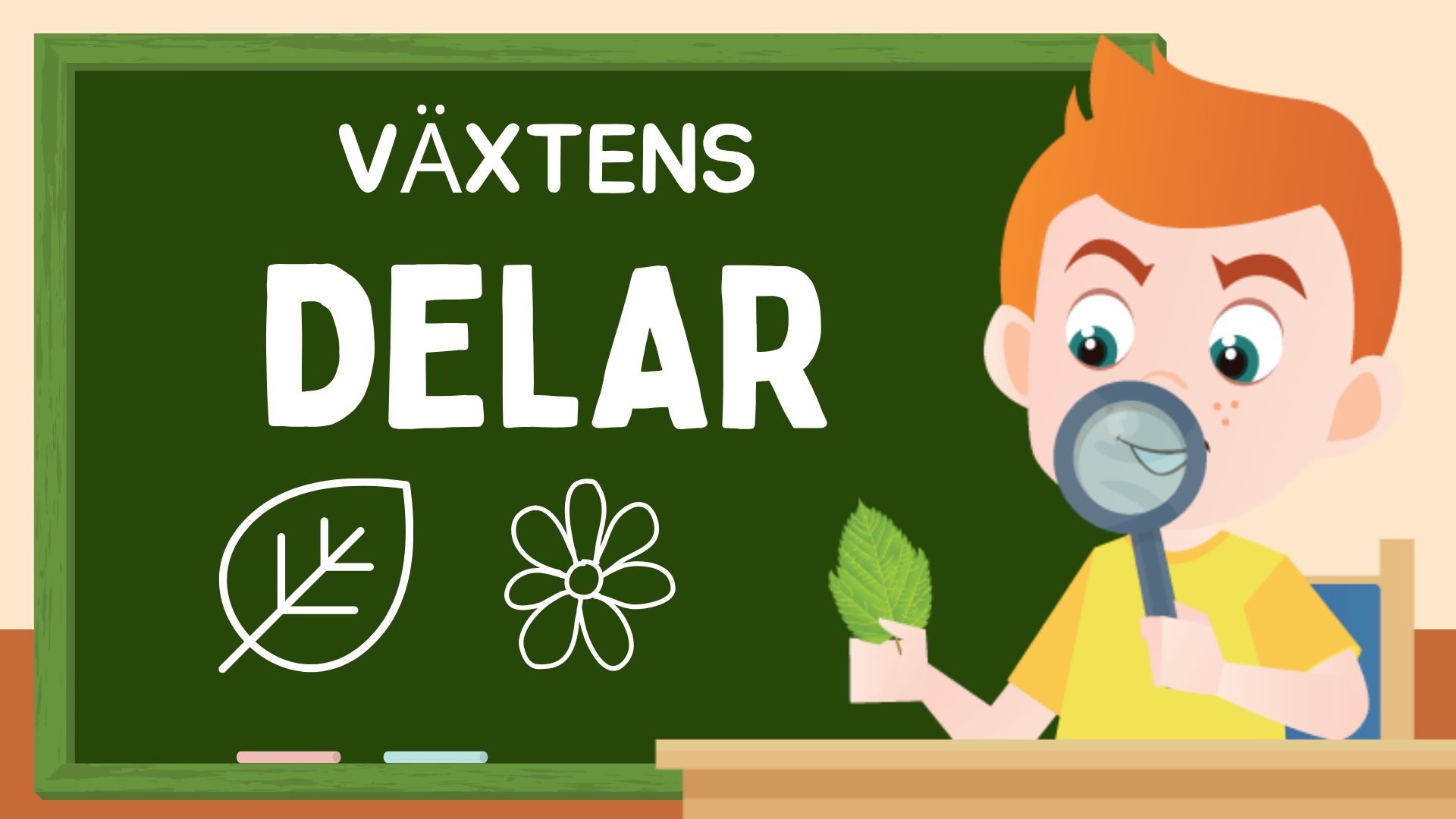 Växtens delar - Läsförståelse + frågor