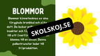 Växtens delar - Läsförståelse + frågor