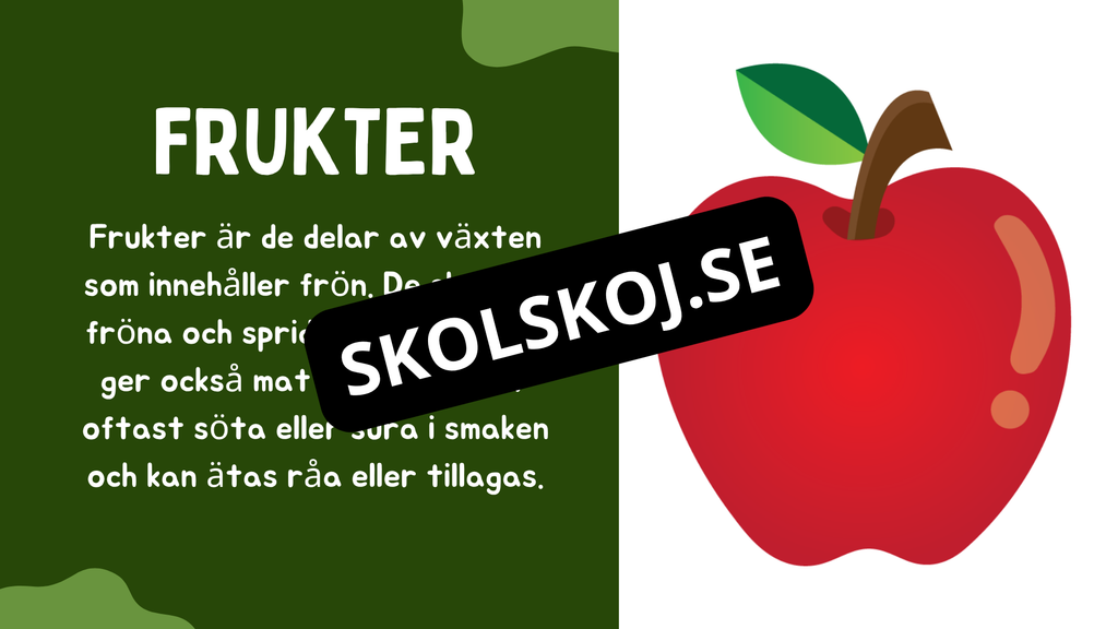Växtens delar - Läsförståelse + frågor