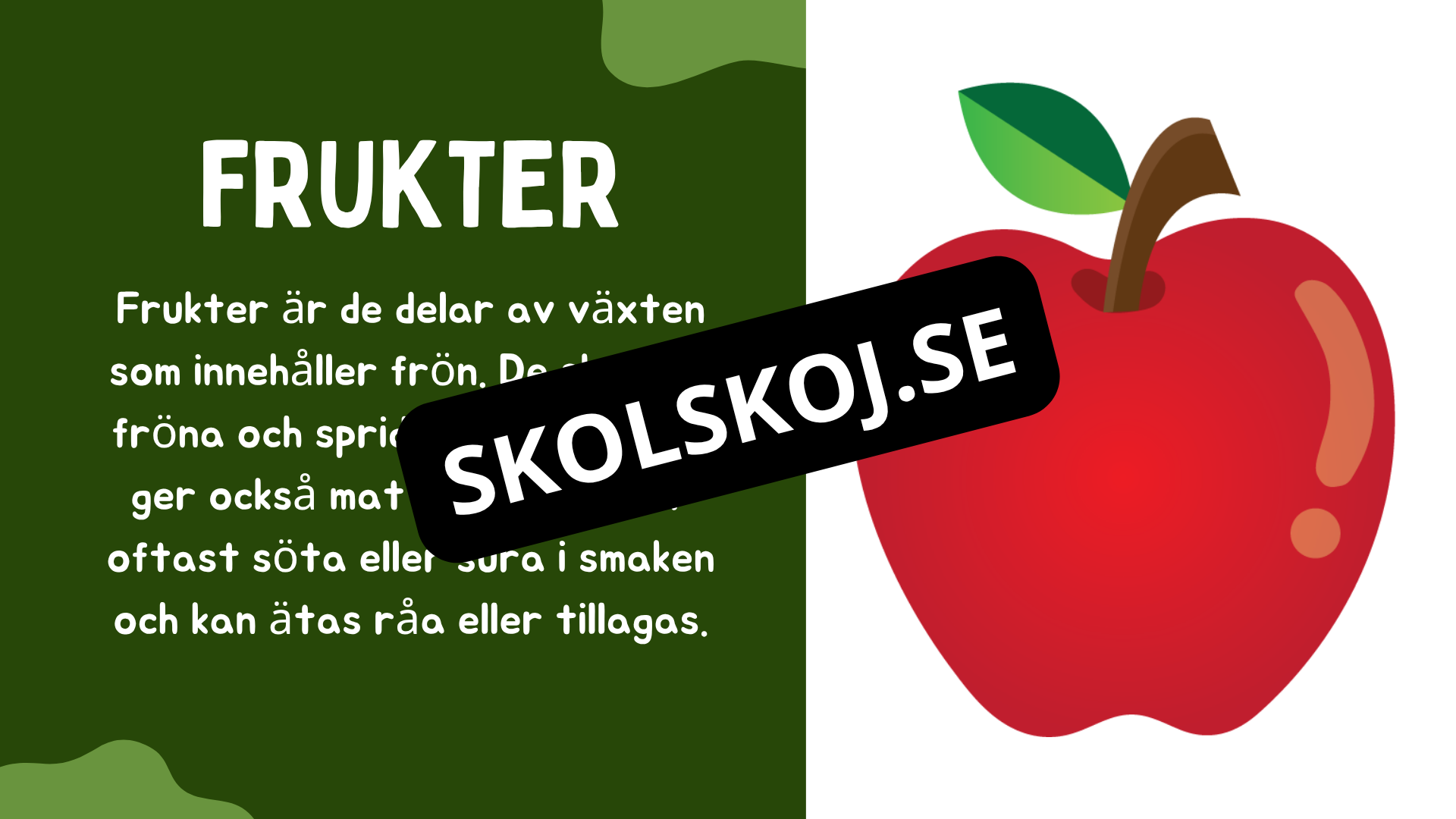 Växtens delar - Läsförståelse + frågor
