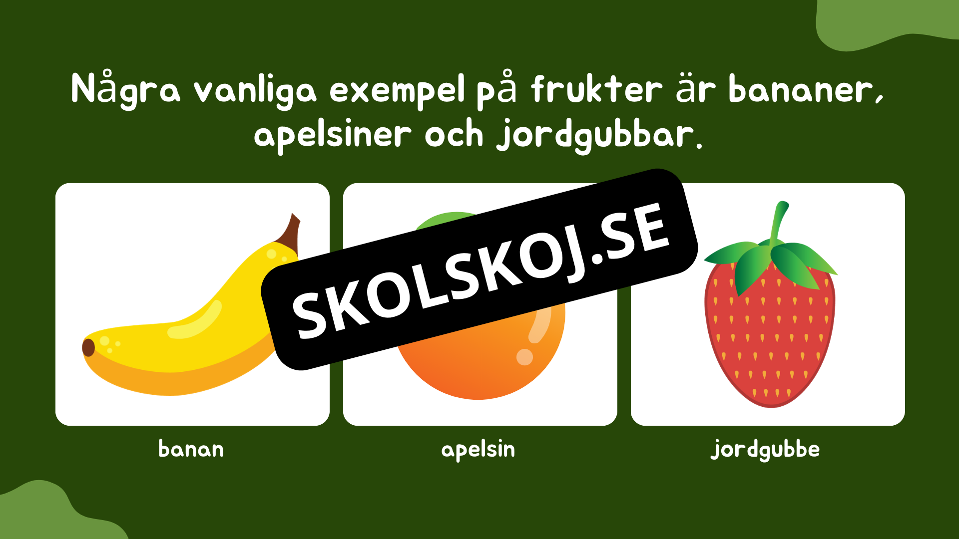 Växtens delar - Läsförståelse + frågor