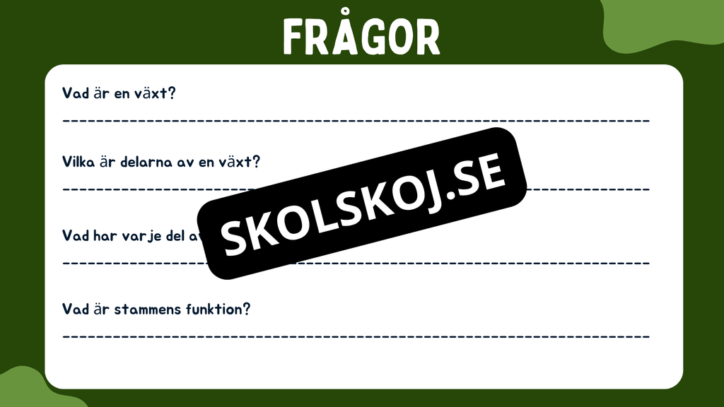 Växtens delar - Läsförståelse + frågor