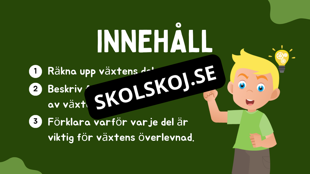 Växtens delar - Läsförståelse + frågor