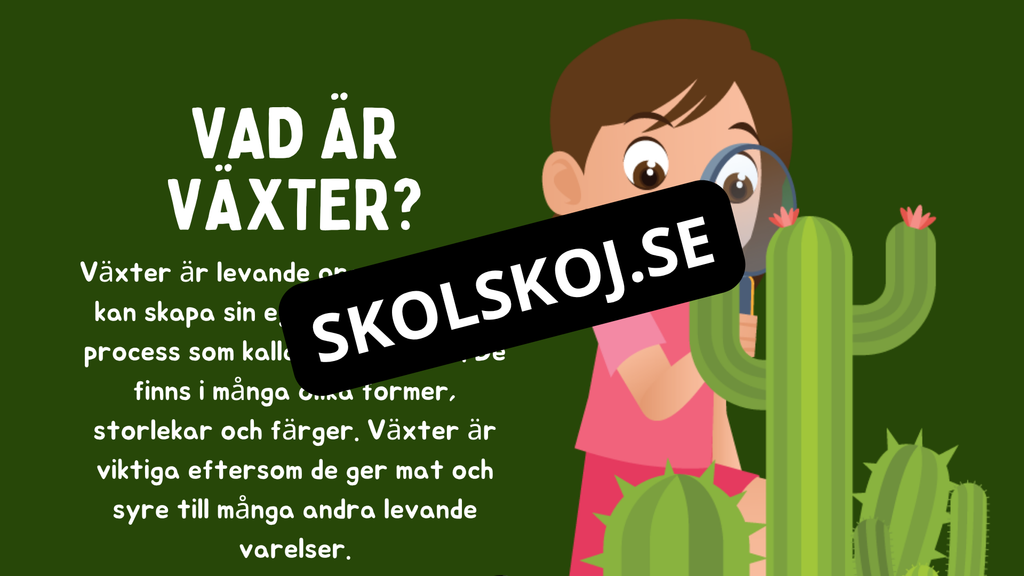 Växtens delar - Läsförståelse + frågor