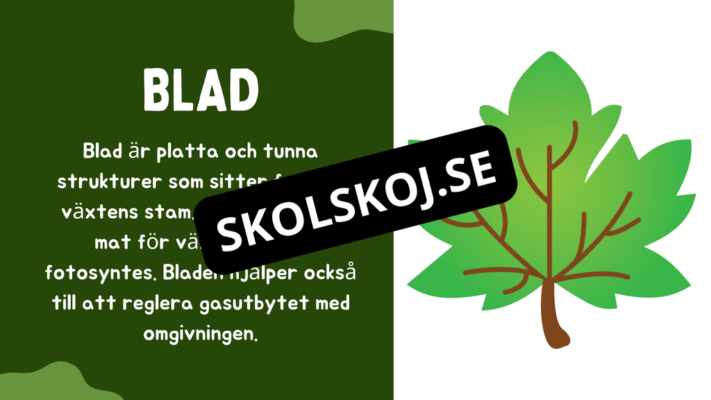 Växtens delar - Läsförståelse + frågor