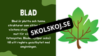 Växtens delar - Läsförståelse + frågor