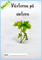 Växterna på vintern - Årskurs 4 - 6