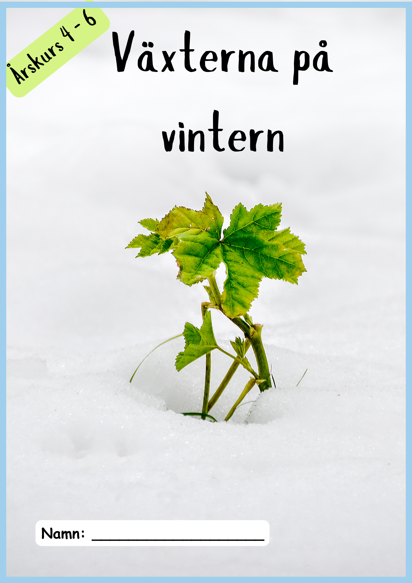 Växterna på vintern - Årskurs 4 - 6