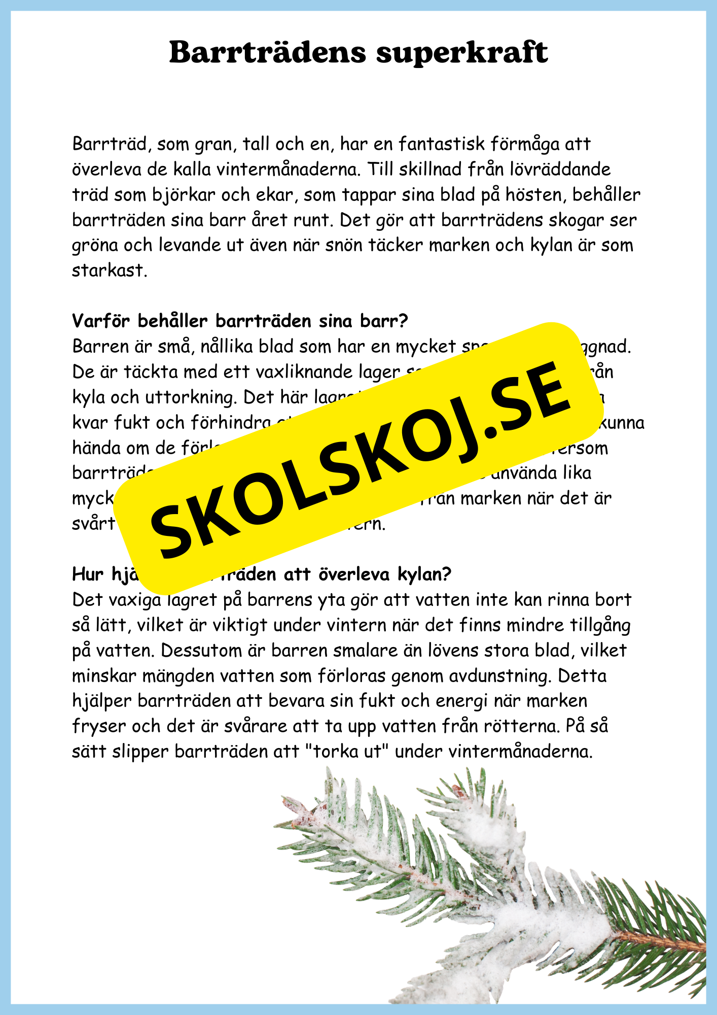 Växterna på vintern - Årskurs 4 - 6