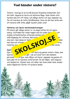 Växterna på vintern - Årskurs 4 - 6