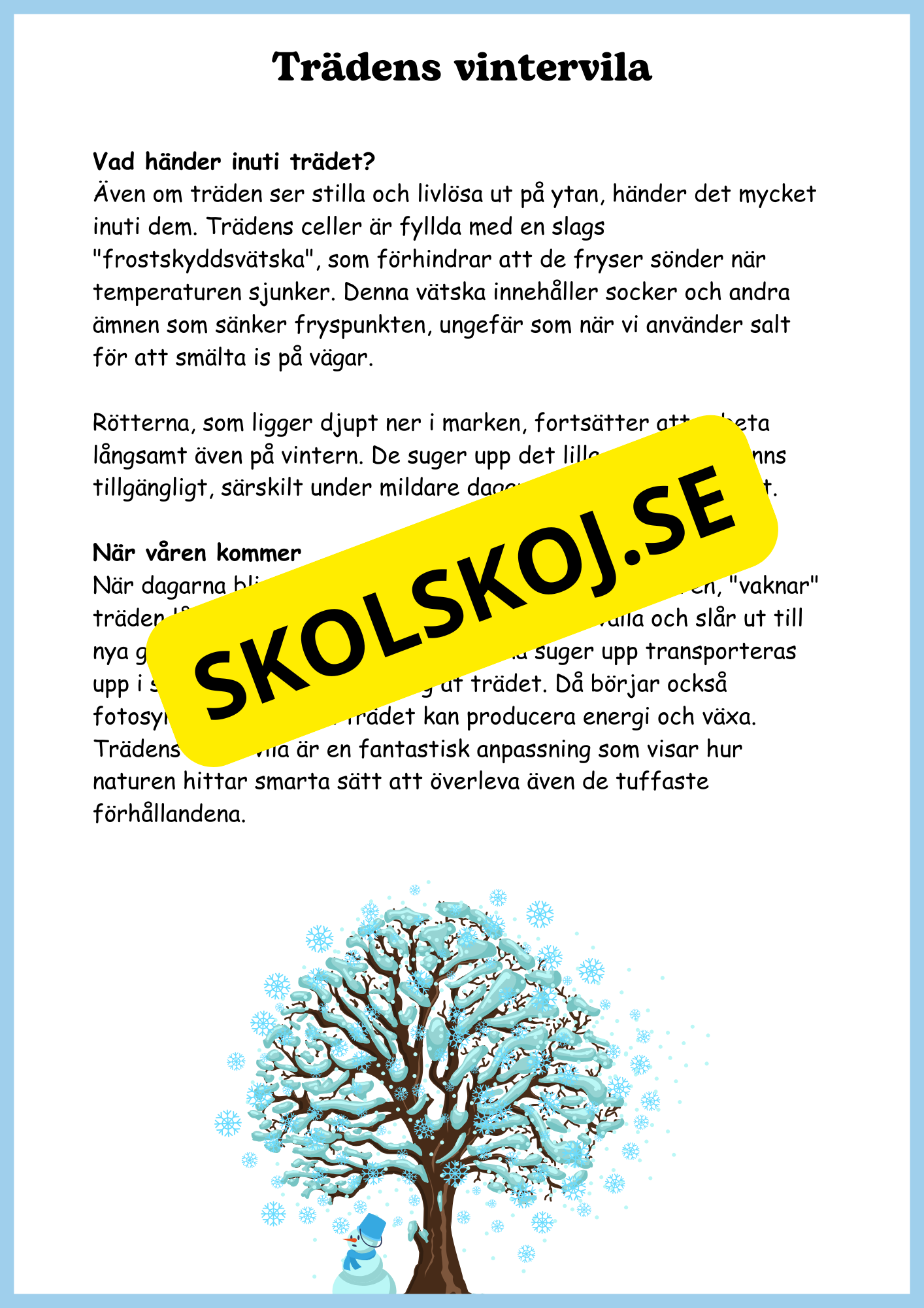Växterna på vintern - Årskurs 4 - 6