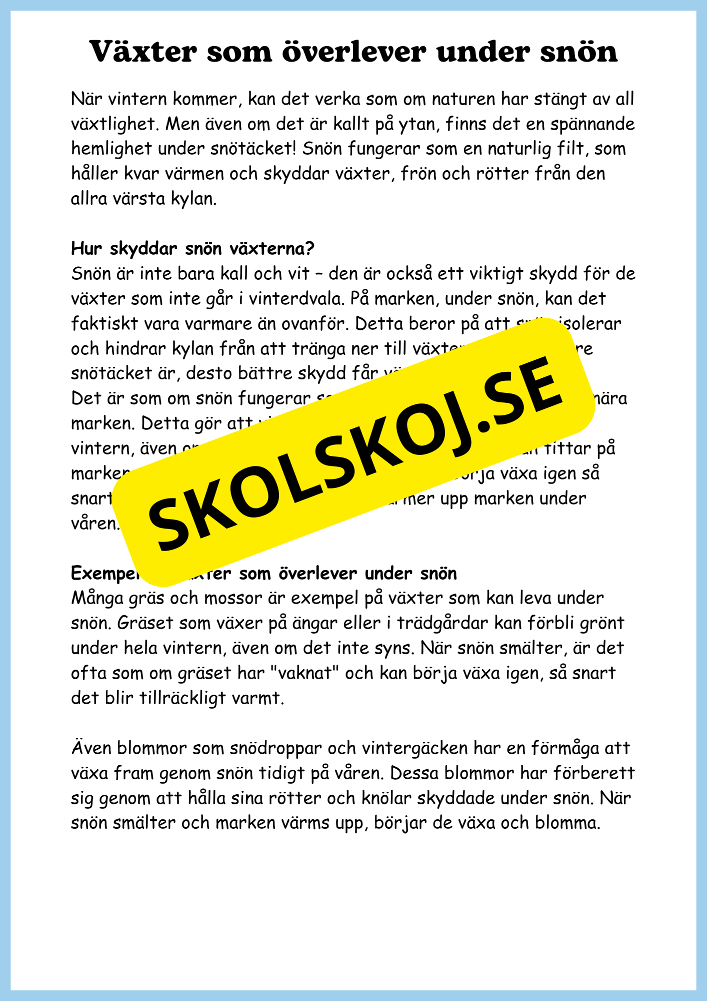 Växterna på vintern - Årskurs 4 - 6