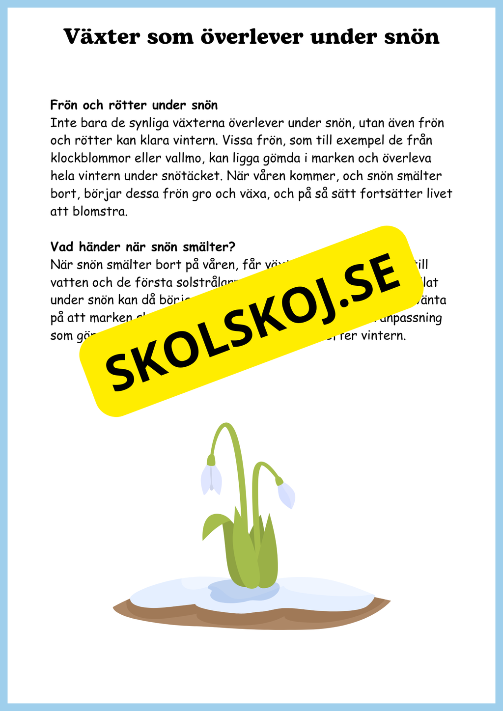 Växterna på vintern - Årskurs 4 - 6
