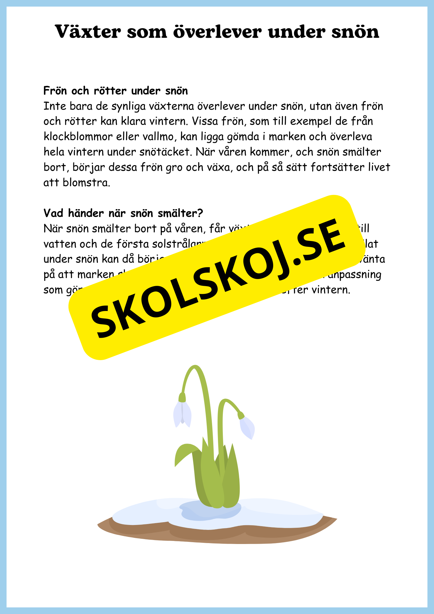 Växterna på vintern - Årskurs 4 - 6