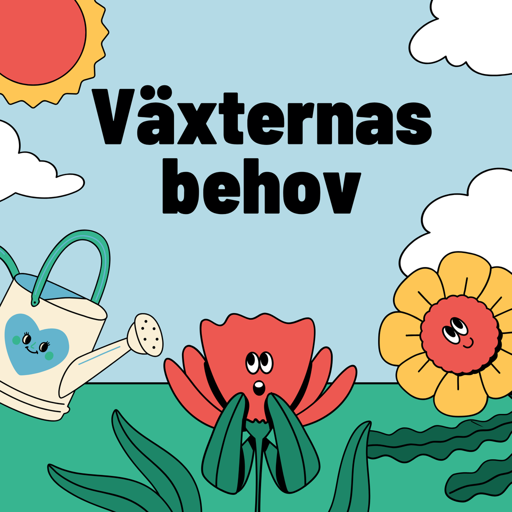 Växternas behov – En enklare förklaring av fotosyntes