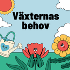 Växternas behov – En enklare förklaring av fotosyntes