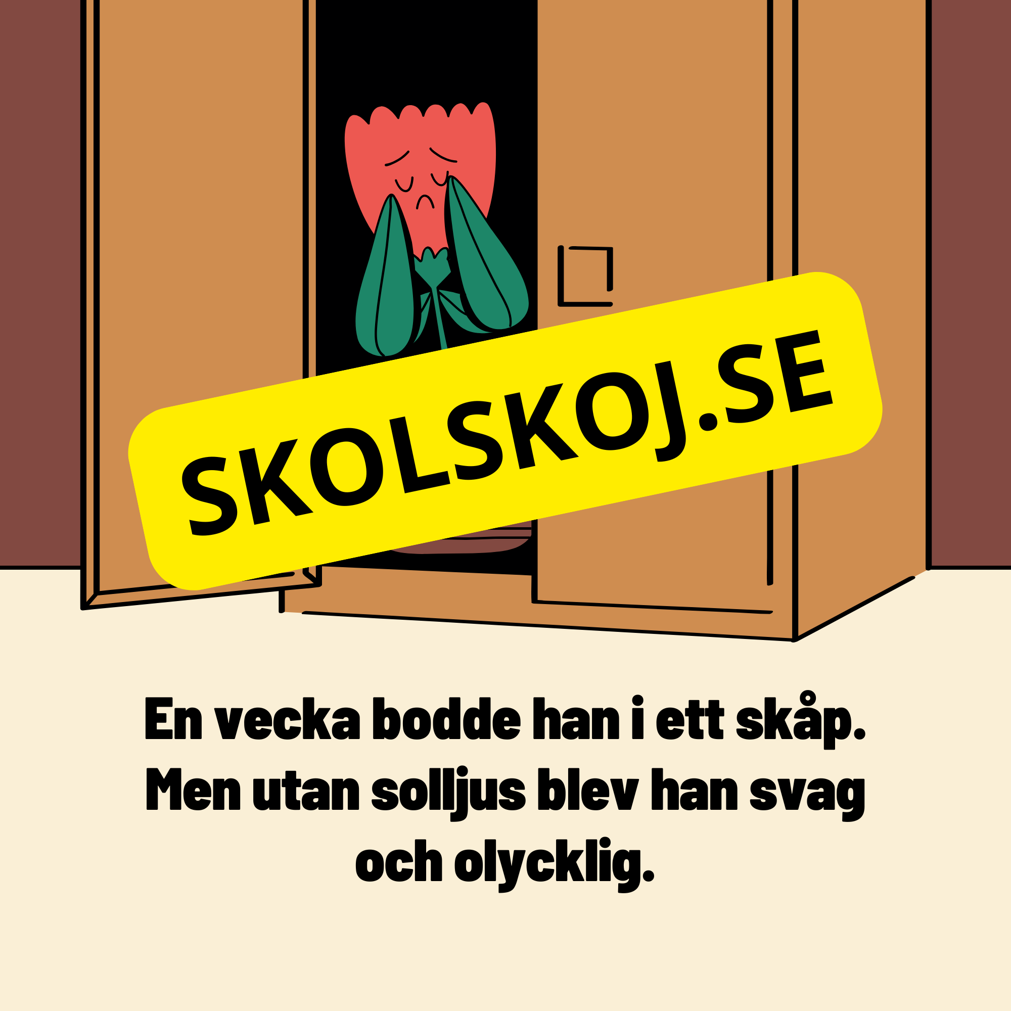 Växternas behov – En enklare förklaring av fotosyntes