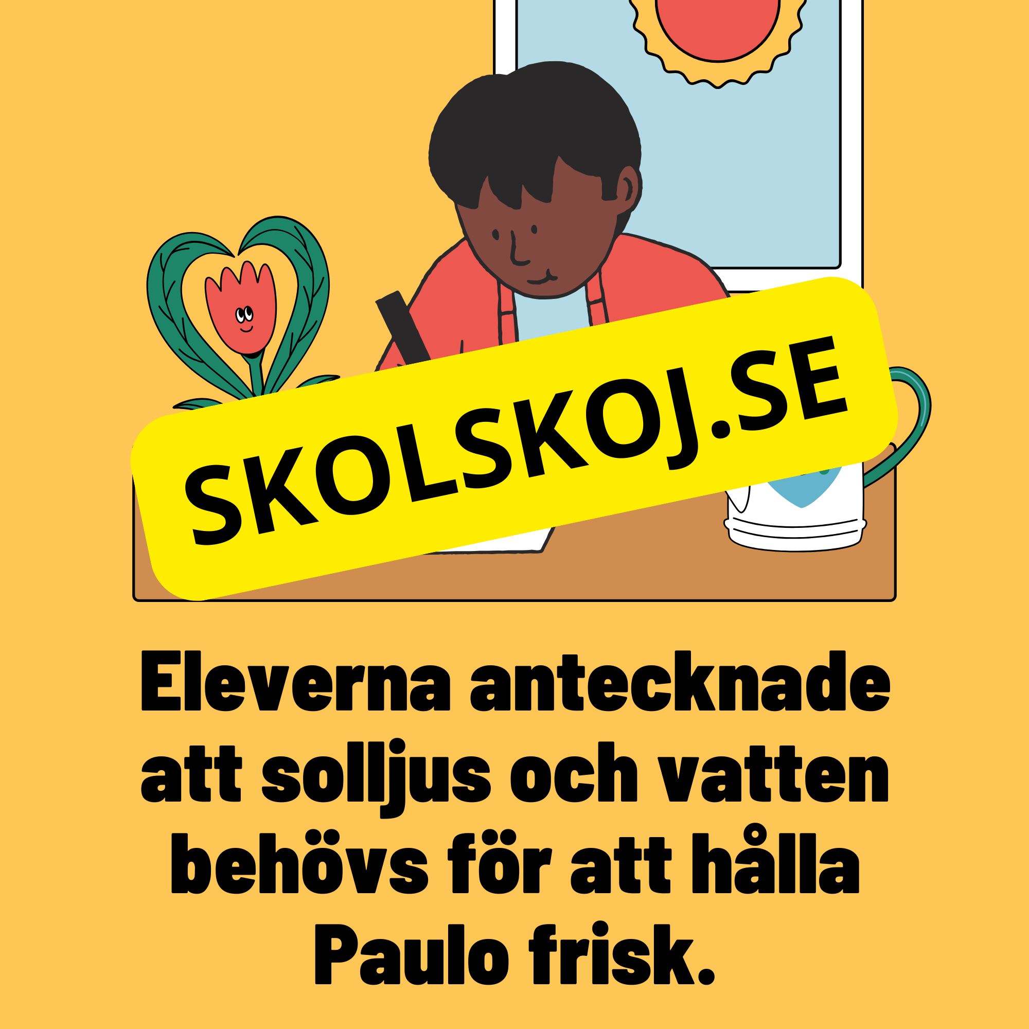 Växternas behov – En enklare förklaring av fotosyntes
