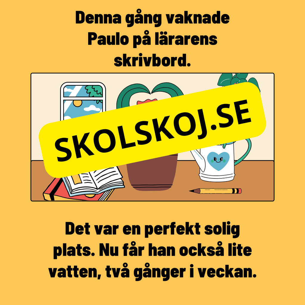 Växternas behov – En enklare förklaring av fotosyntes