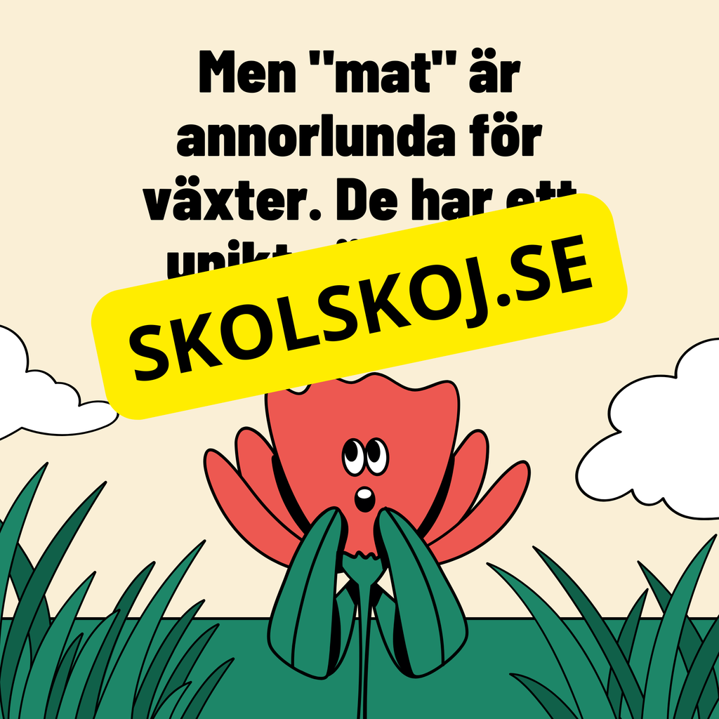 Växternas behov – En enklare förklaring av fotosyntes