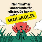 Växternas behov – En enklare förklaring av fotosyntes