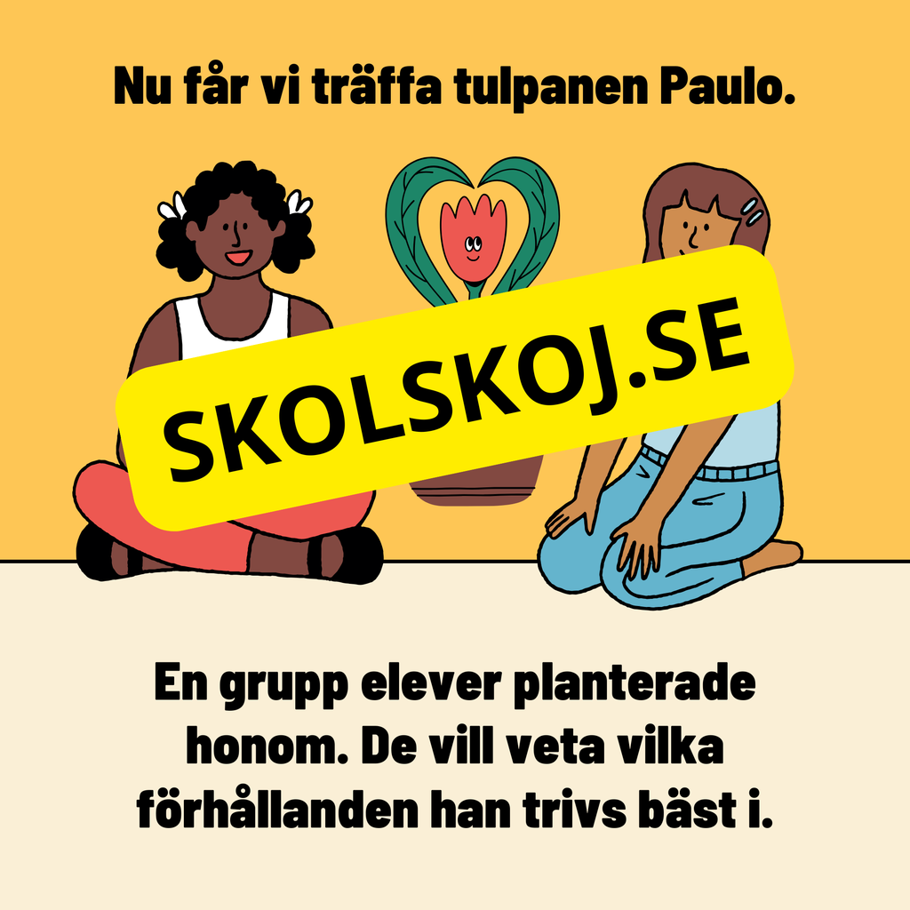 Växternas behov – En enklare förklaring av fotosyntes