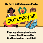 Växternas behov – En enklare förklaring av fotosyntes